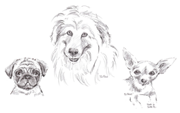 Dog Caricatures